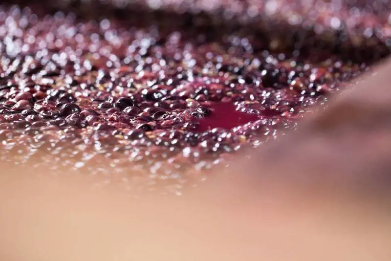 Rosé de Saignée Geoffroy, lo Champagne che sanguina