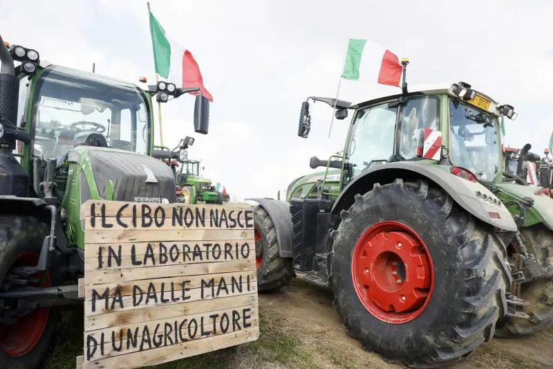 Perché siamo tutti contadini