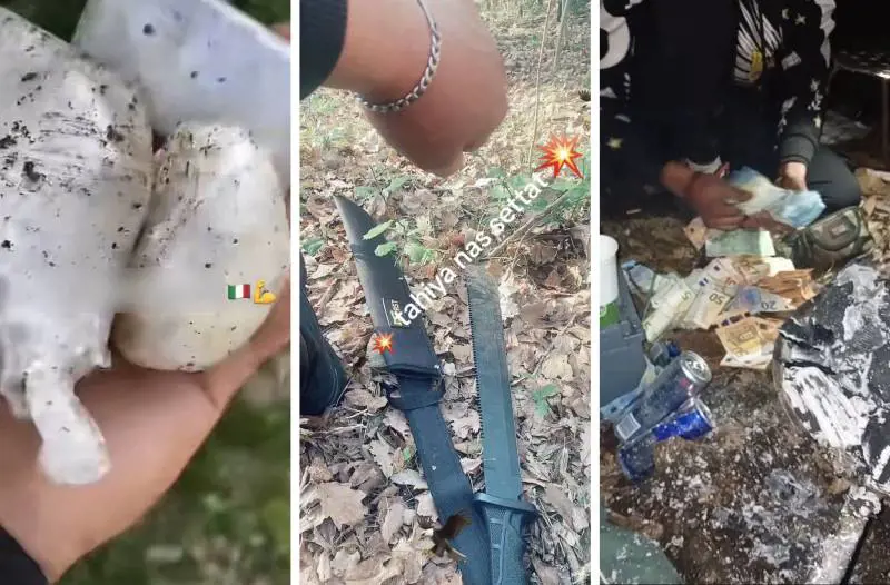 Soldi, droga e armi: i video "nascosti" sui social degli immigrati spacciatori