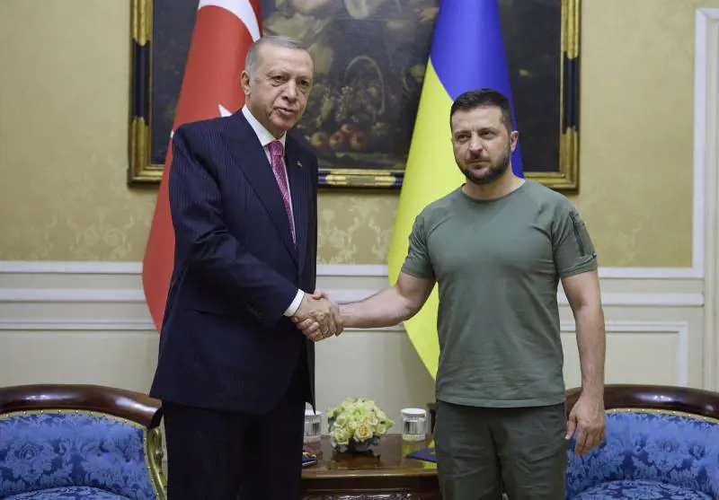 "Grato alla Turchia per il sostegno". Zelensky vola da Erdogan