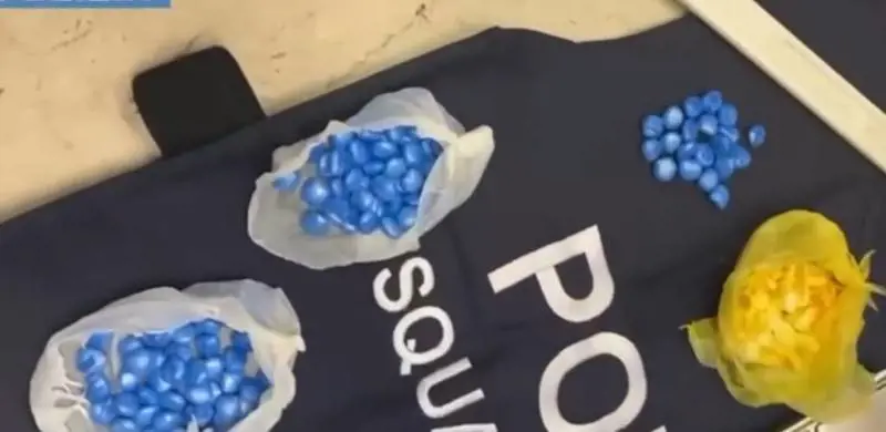 I pusher con lo stipendio da 2500 euro al mese: la rete della droga a Bologna 