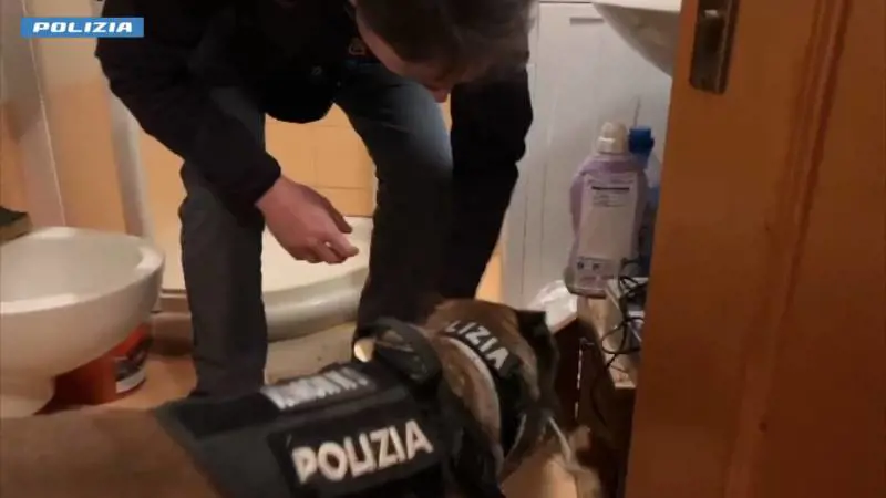 Così la mafia albanese in Italia inondava di cocaina le piste da sci con donne e neonati