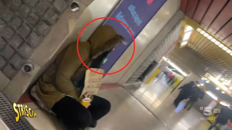 dal servizio di Striscia la notizia