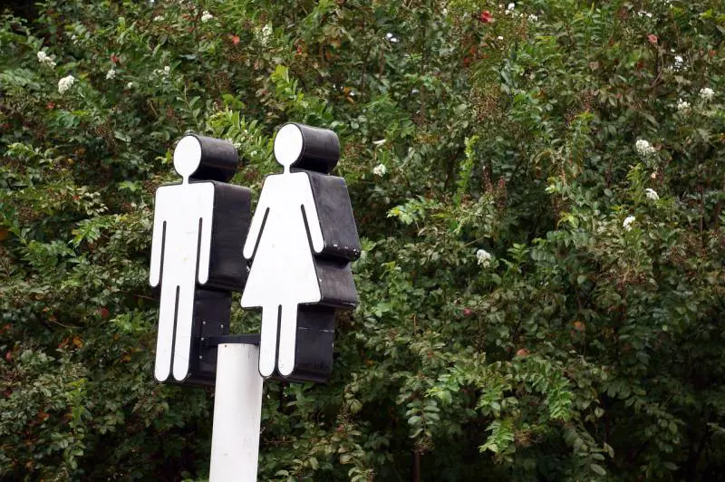 Al liceo arrivano i bagni "gender neutral". È bufera a Trieste