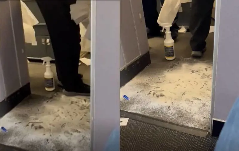 Volo dirottato per colpa del cane. A bordo scoppia il caos. Ecco cosa è successo