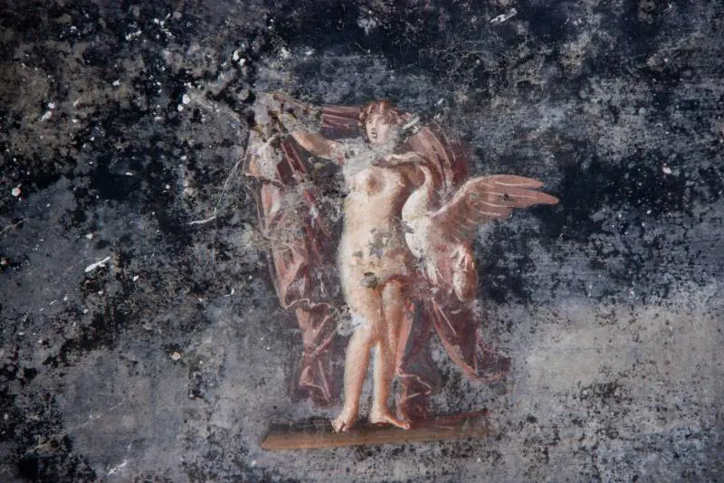 Immagine gallery