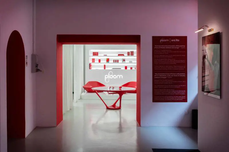 Immagine gallery