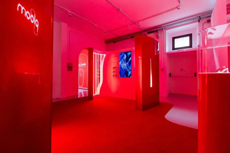 Immagine gallery