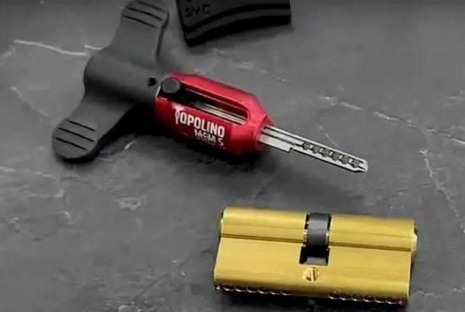 Occhio al "Topolino decoder". Così vi ripuliscono casa