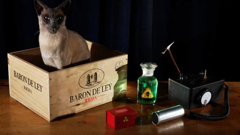 Una nuova soluzione per il paradosso di Schrödinger