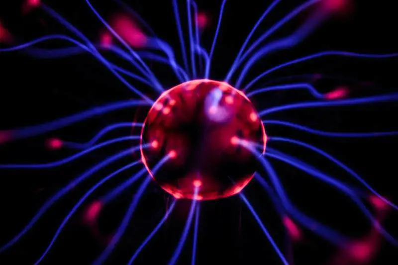 Il caos perfetto e la ragnatela dei neuroni