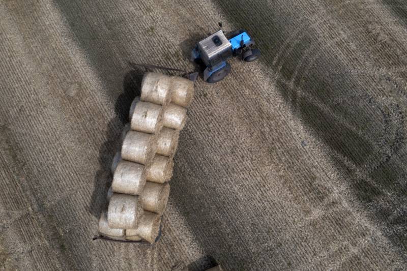 Agricoltura in crisi: costi alle stelle e rese in calo mettono in ginocchio i campi italiani