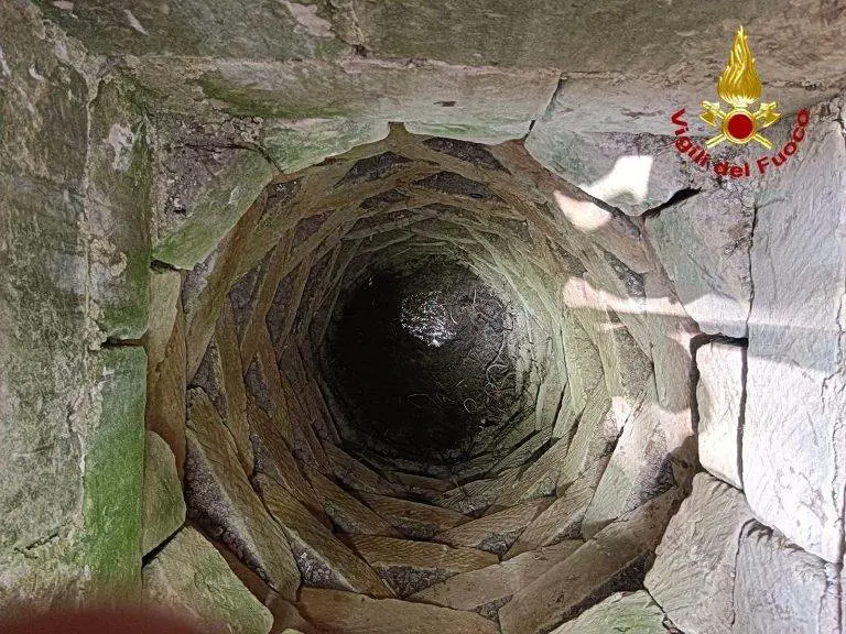 Immagine gallery