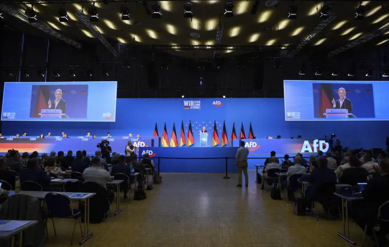 “Resteremo da soli”. AfD esce dal gruppo europeo Id