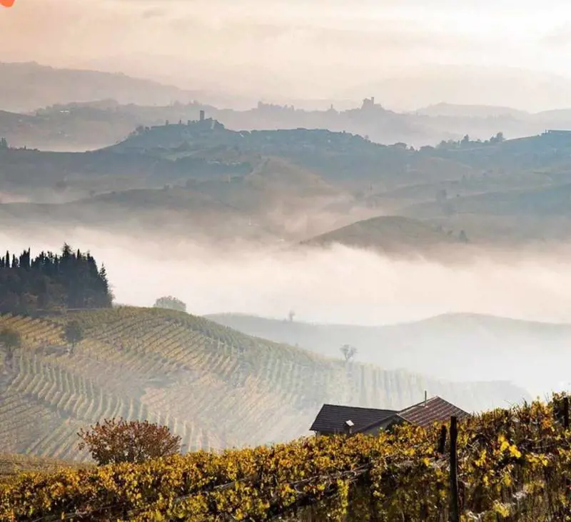 Giovanni Rosso, e poi c’è il Roero Arneis