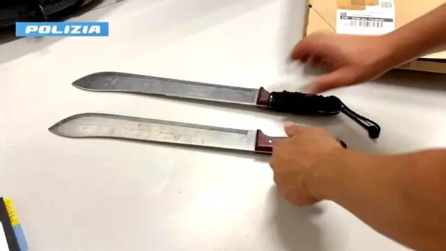 Accerchiati e minacciati coi machete. Così i marocchini hanno aggredito i poliziotti nei boschi del comasco