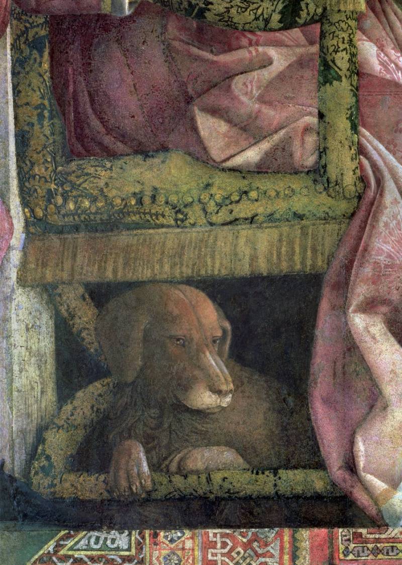 Il cane di Gonzaga (Mantegna)