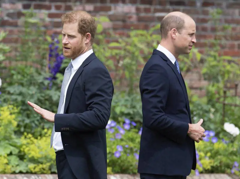 "Un nuovo libro dopo la morte di re Carlo". La mossa di Harry contro il principe William