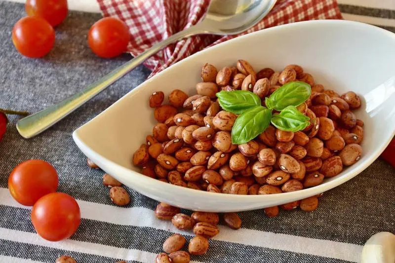 Piatti vegetali e proteine alternative: cosa mangeremo nel 2050