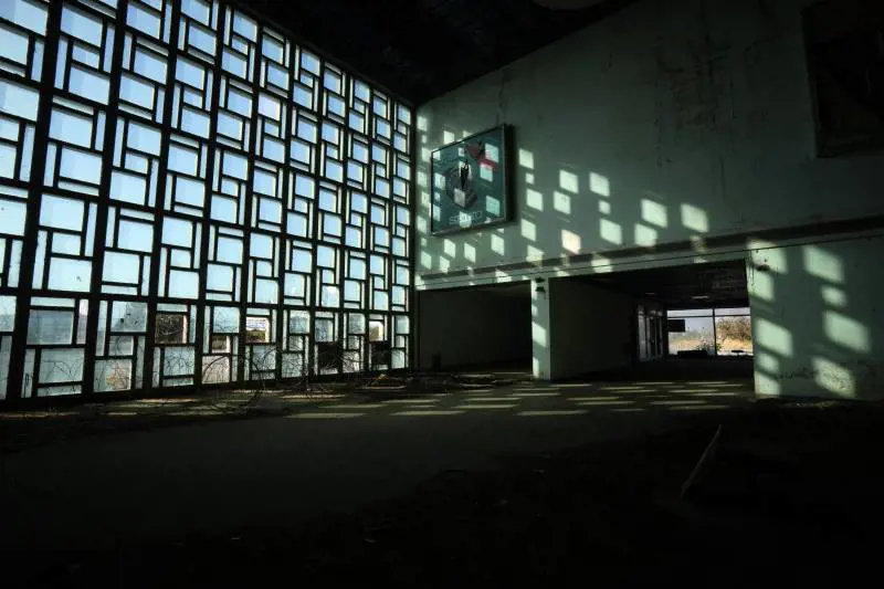 Immagine gallery