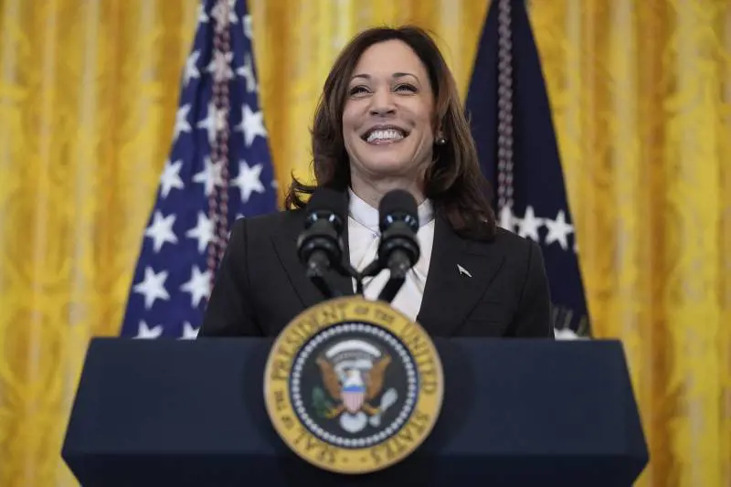 Tandem femminile o coppia afroamericana: impazza il totonomi per il vice di Harris