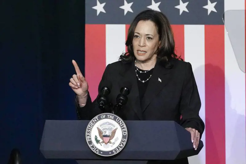 "Non fatelo sapere a Elly Schlein". Così FdI smonta i tifosi di Kamala Harris