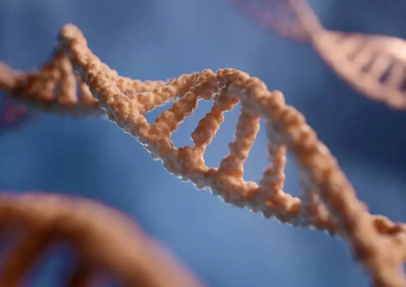 Metagenomica e nuovo antibiotico che sfida i super batteri: così l'Ai cambia la medicina