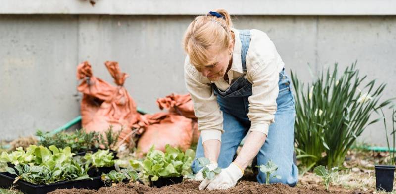 Over e giardinaggio