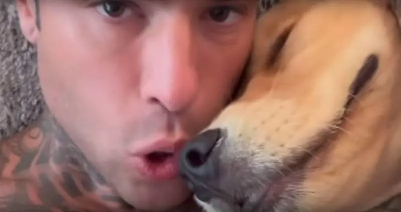"Venezia? Silvio perfetto, ci vanno cani e porci". La frecciatina di Fedez a spasso con il cane