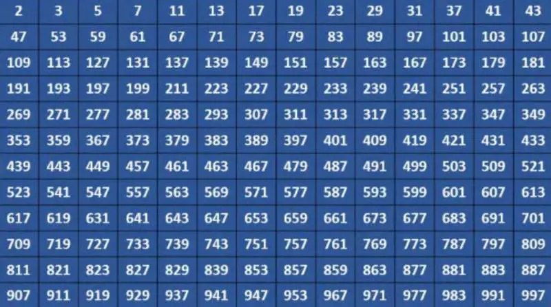 Scoperto il numero primo più grande tra quelli conosciuti. Ecco perché è importante