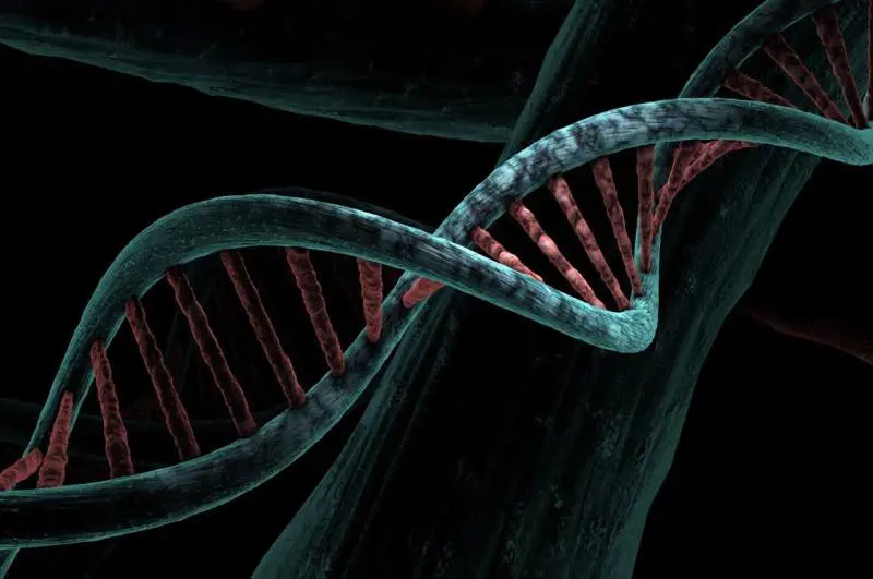 Chirurgia genetica, nanoparticelle d’oro riparano il Dna: ecco come