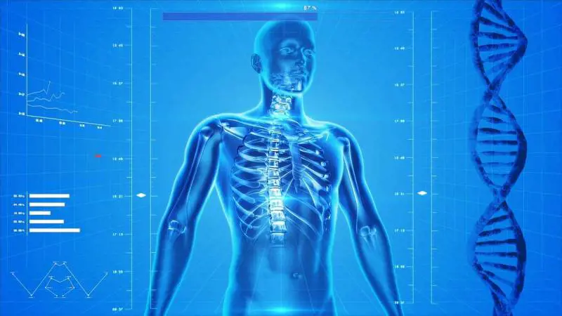 Diabete, quali organi sono i più colpiti dalla malattia