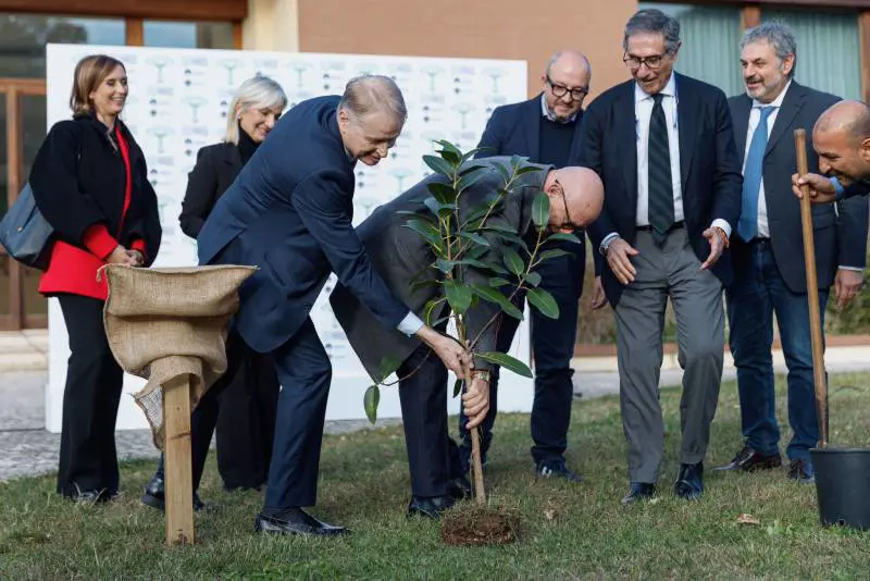 FdI pianta un albero in onore di Falcone agli Stati Generali dell'Ambiente e dell'Energia