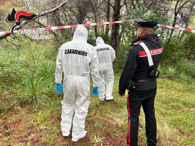 Cold case del Brennero: dopo 17 anni spunta un testa nel giardino dell’assassino: cosa è successo