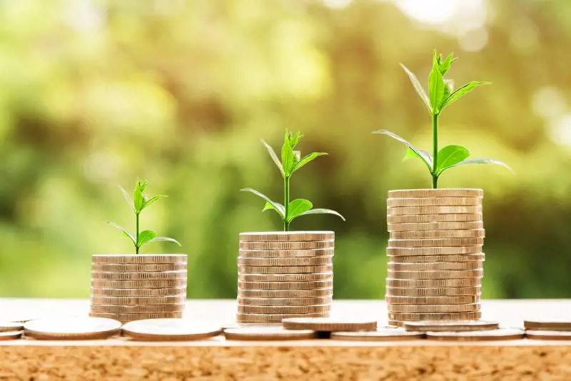 Pil 2024 a +0,5%. Ecco tutti i dati sulla crescita del Paese