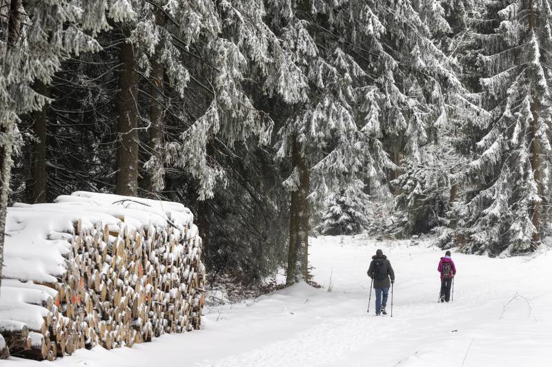 Torna la neve a bassa quota: quali saranno le zone più colpite