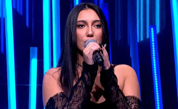 Il manifesto anti Israele all'Eurovision