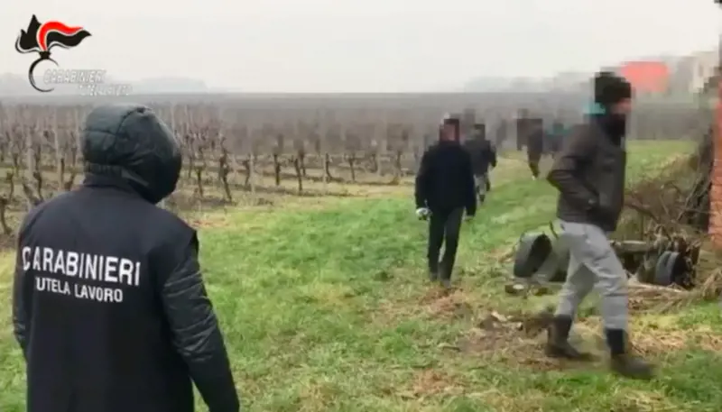 Favorivano l'immigrazione clandestina con il decreto Flussi: 36 arresti in Campania