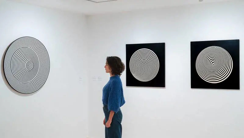 Immagine gallery