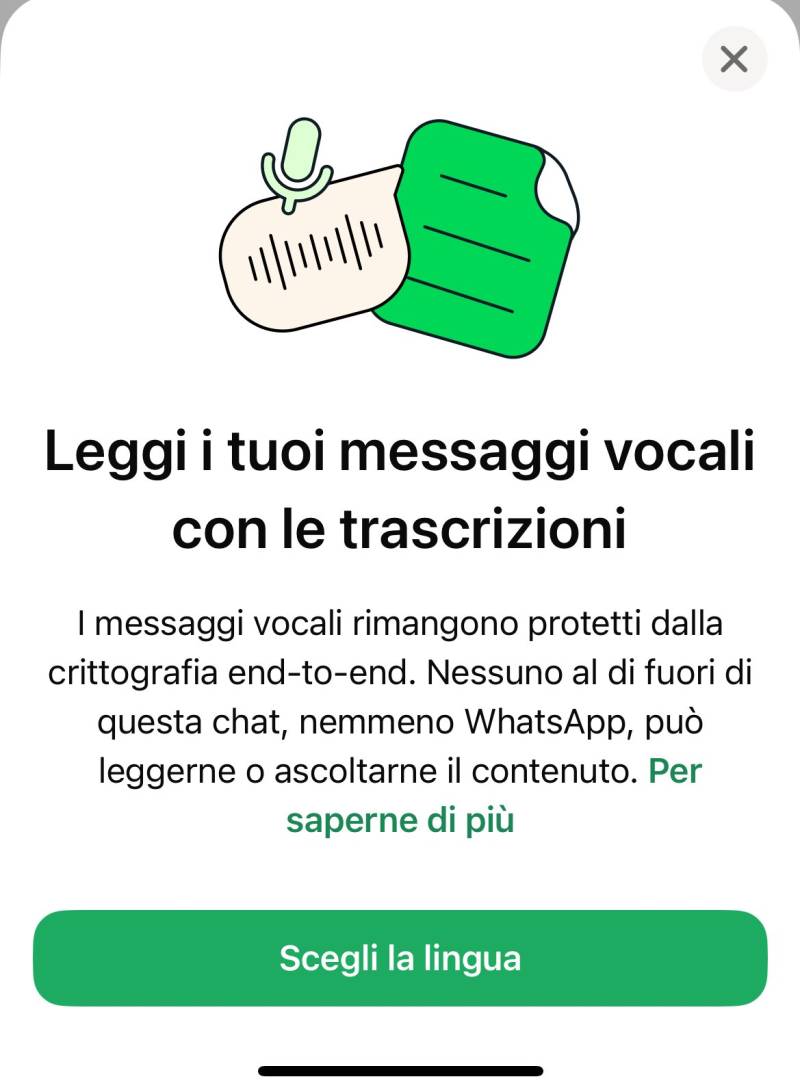 trascrizione audio WhatsApp