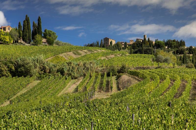 Castello di Volpaia si affida a Sarzi Amadè