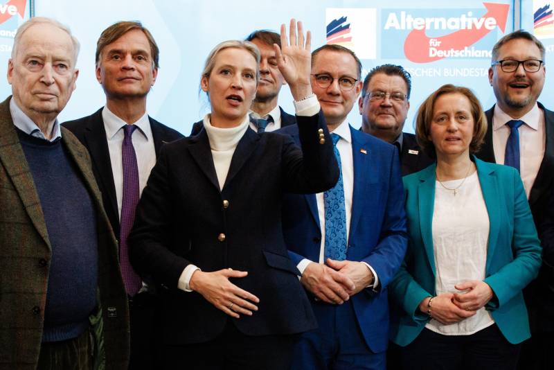 Germania, l'intelligence dichiara l'Afd "pericolo per la democrazia"