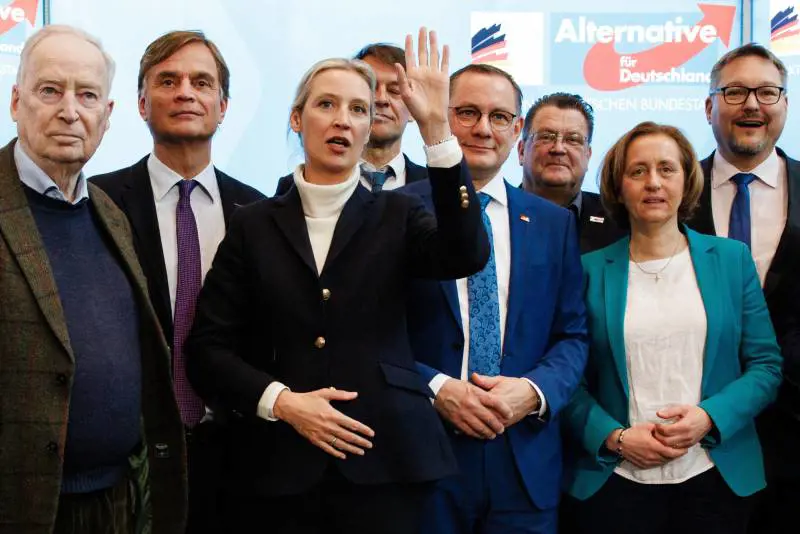 AfD fa causa all'intelligence contro la denominazione "estremista di destra"