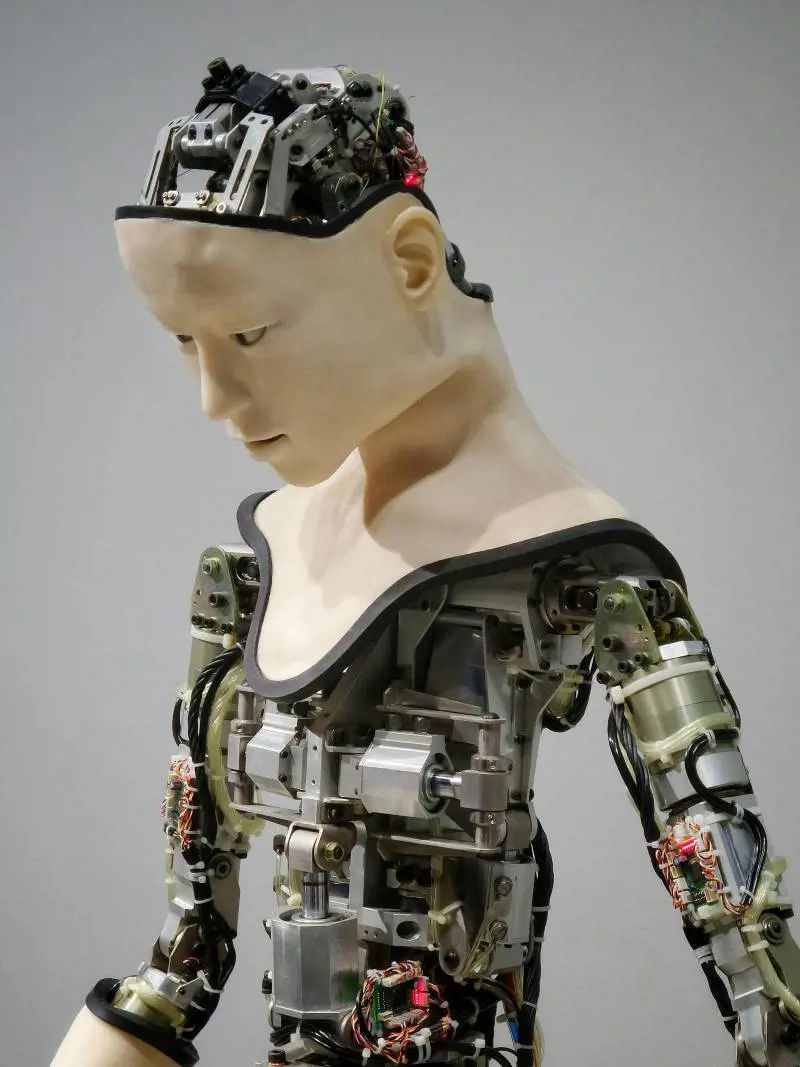 Robot con volto umano: perché li costruiamo simili a noi (anche se non serve)