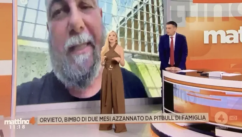 "Sta facendo il pagliaccio". Caos a Mattino 4: ecco la provocazione dell’ospite sui cani aggressivi