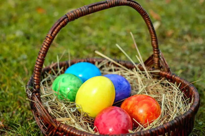 Caccia alle uova di Pasqua, ecco come organizzarla