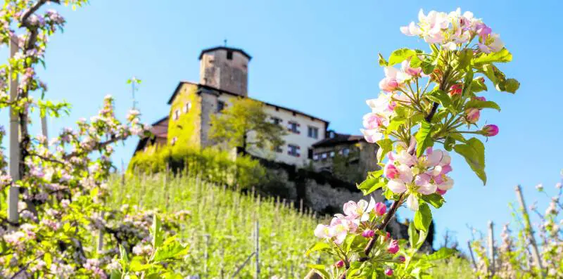 Misteri e antichità della Val di Non, lo "spicchio" d'Italia con 155 castelli