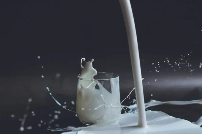 Cosa accade se si aggiungono proteine a latte o yogurt