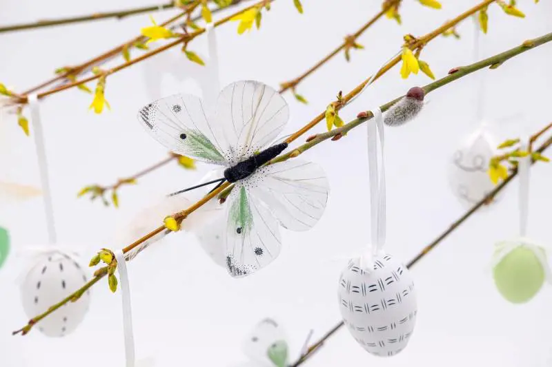 Vuoi decorare casa per Pasqua? Occhio a questi divieti: rischi fino a 100mila euro di multa 