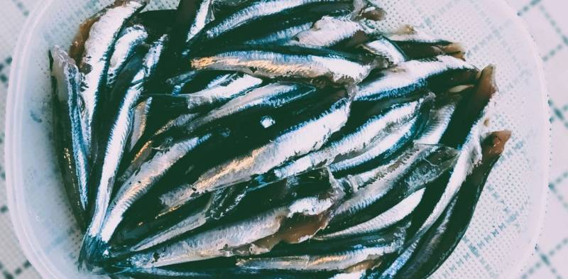 Pesce azzurro